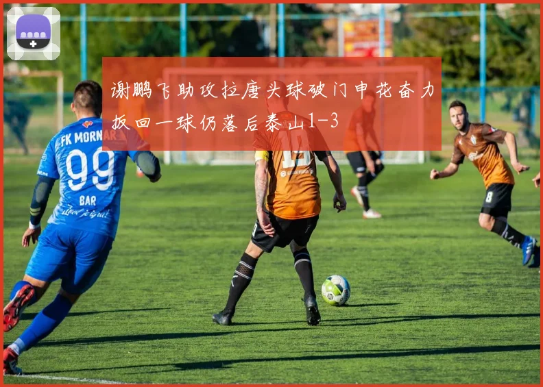 谢鹏飞助攻拉唐头球破门申花奋力扳回一球仍落后泰山1-3